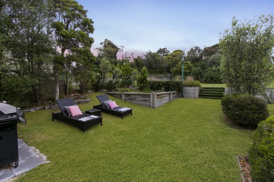 Very big backyard with plenty of sun all day