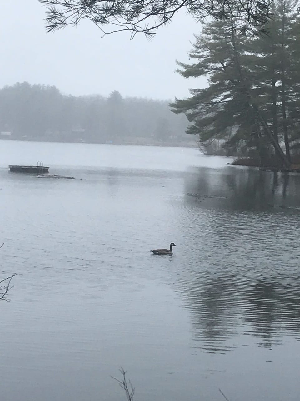 Solitude 