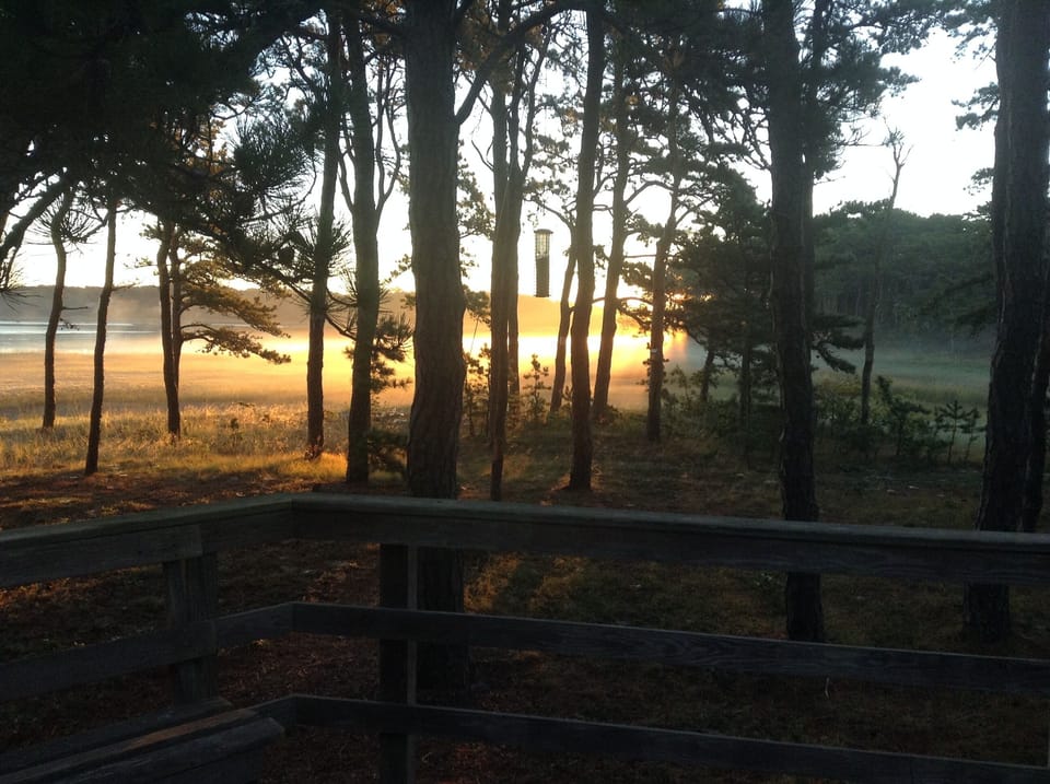 Morning on Drummer Cove