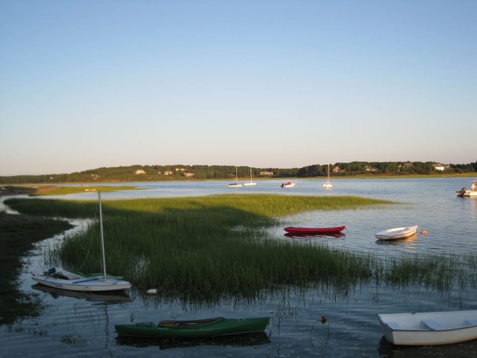 Blackfish Creek at Pleasant Point