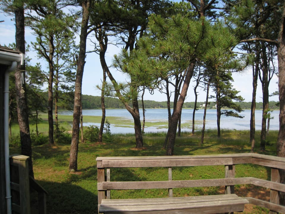 View from the Deck
