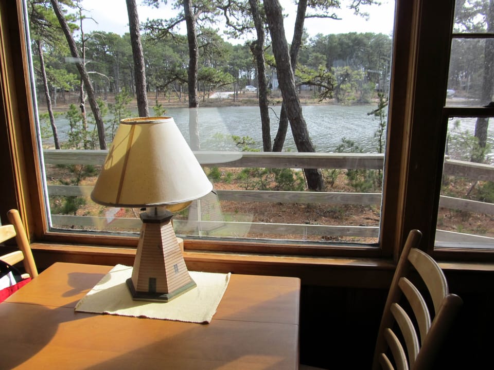 Living Room Overlooks Pond