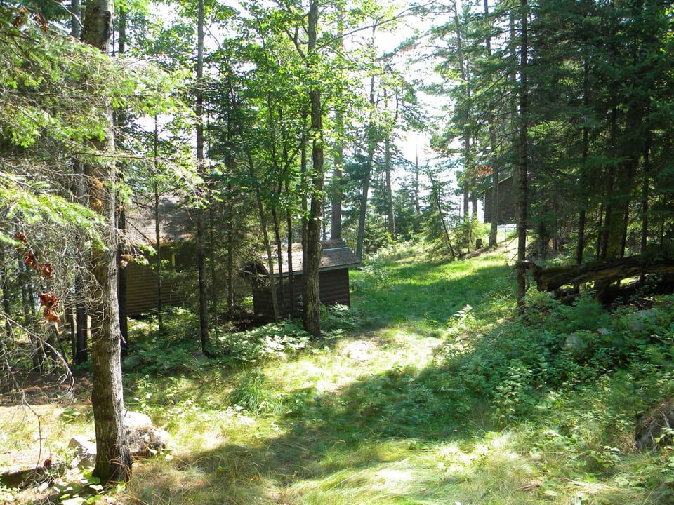 hiking trail leading to the rock scenic overlooks -facing east & Indian Isla