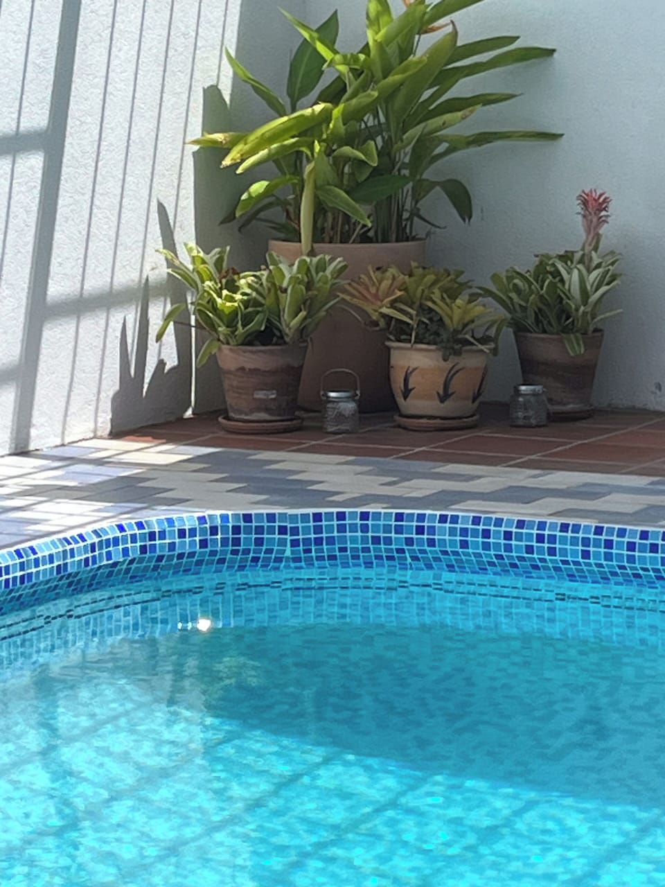 Detail of the indoor garden area showing our lovely glass mosaic tiles  