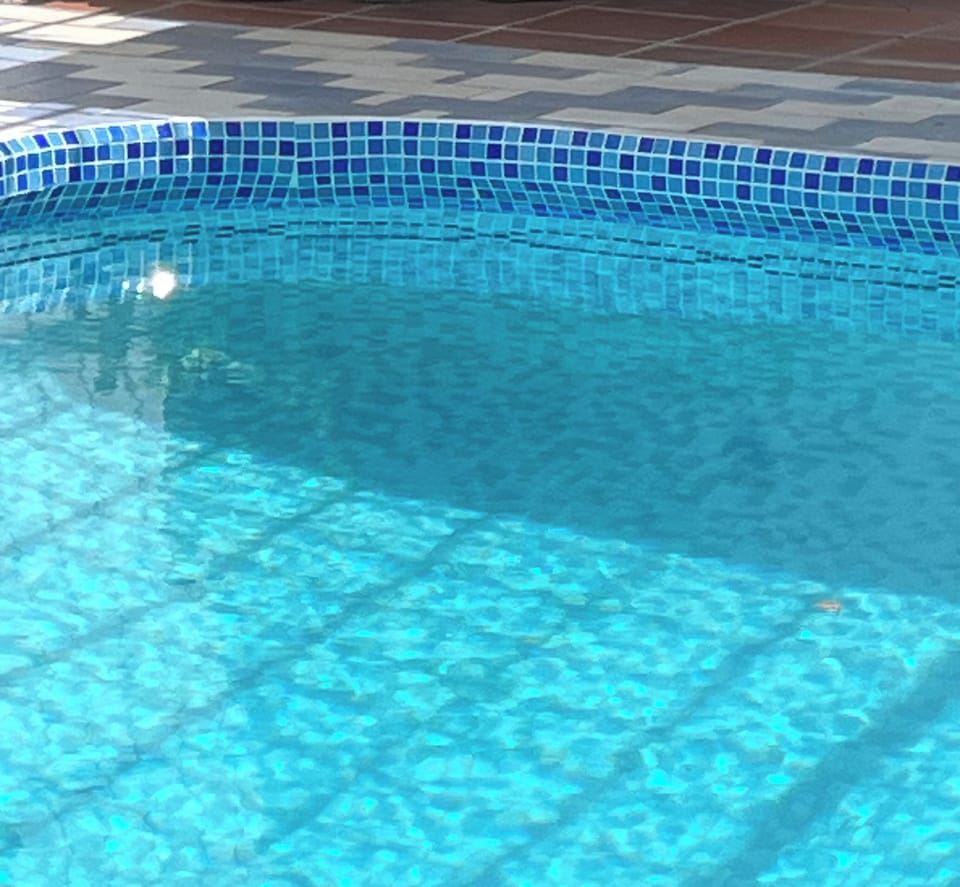 Detail of the glass mosaics that we have added to the design of our pool 