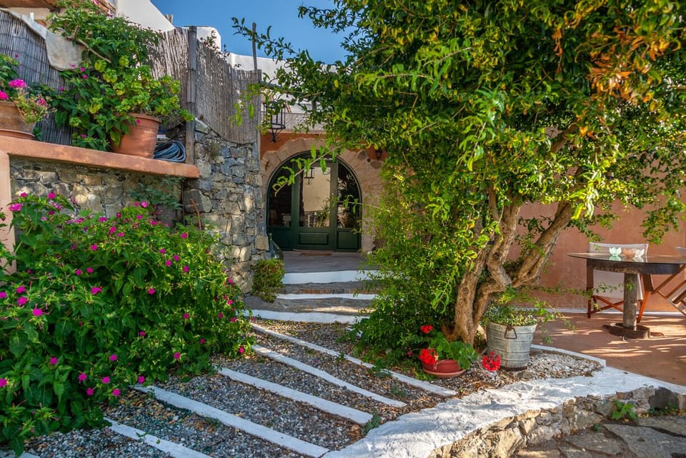 House entrance with old pomegranate tree dominating the terrace