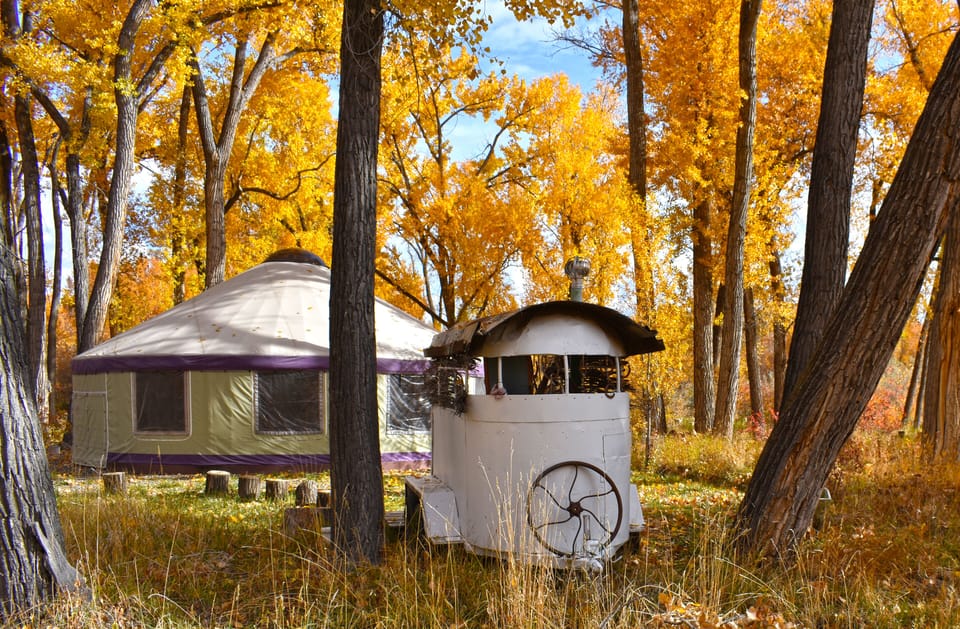 We have the composting toilet in an old Horse Trailer with Grove Yurt behind.