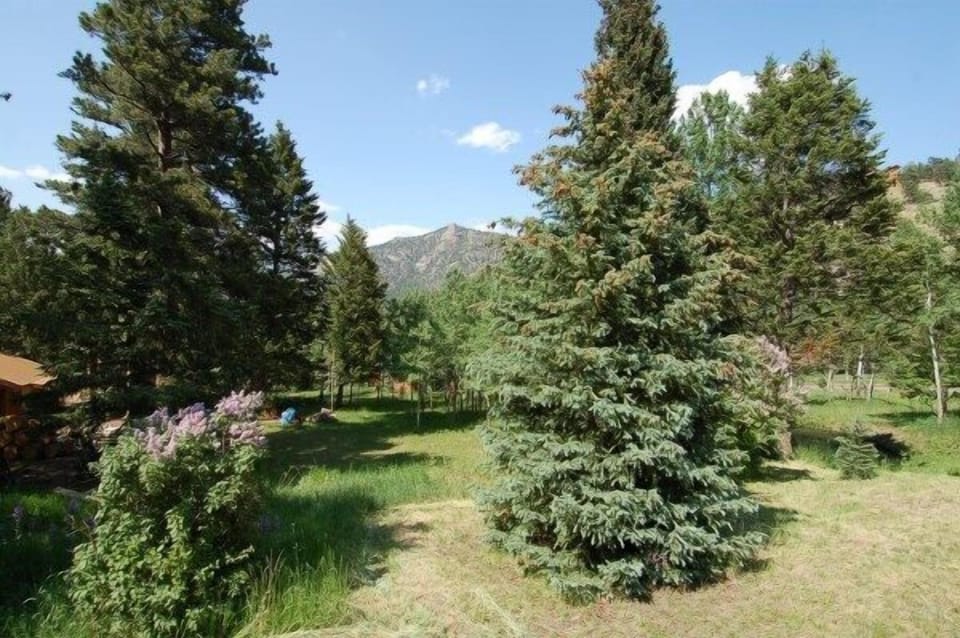 View off rear deck.