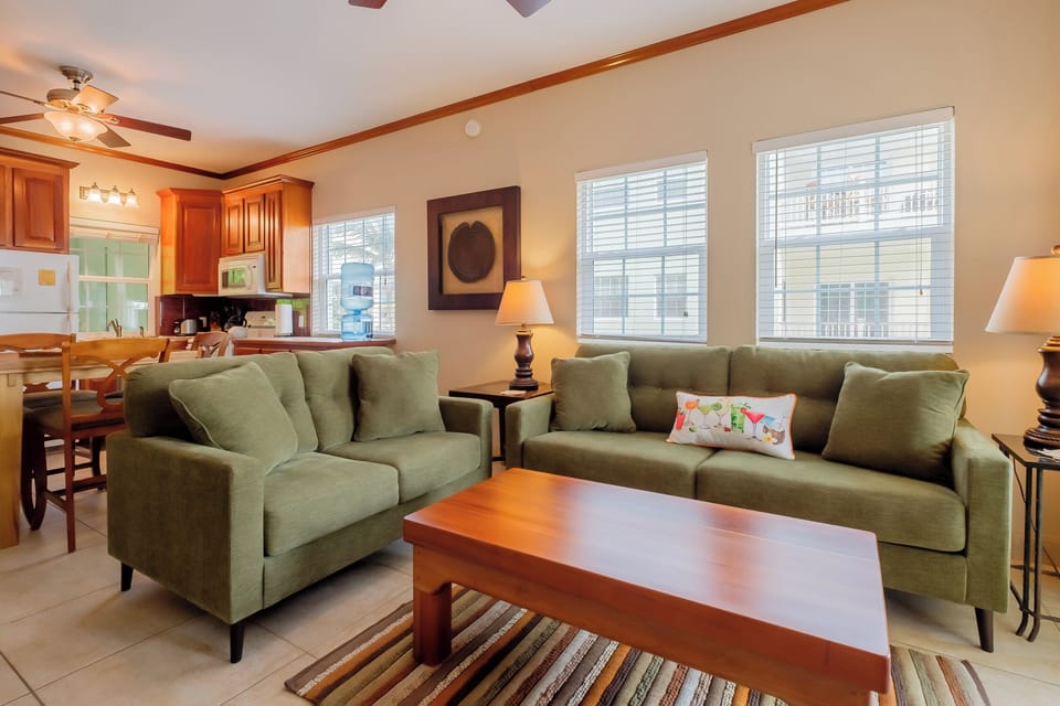 Living room with new furniture