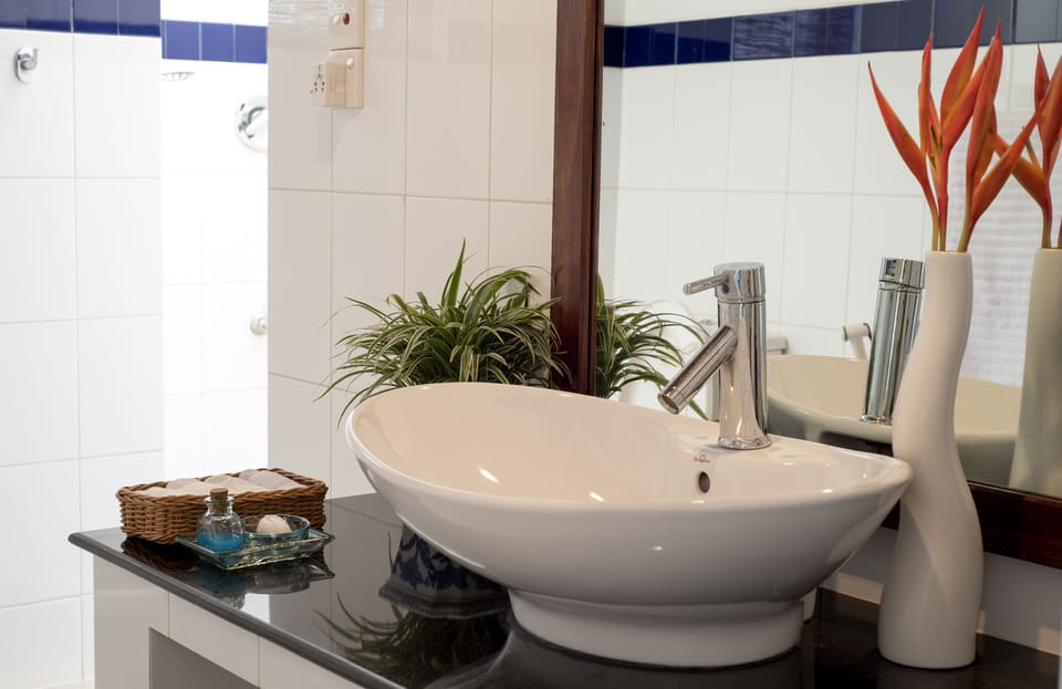 Deluxe Room | Bathroom sink