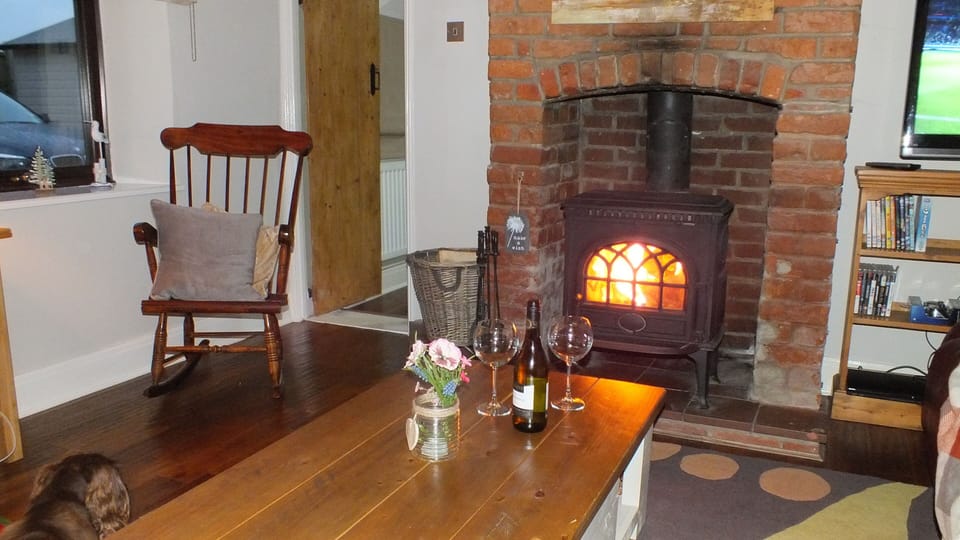 Warming wood burning sove