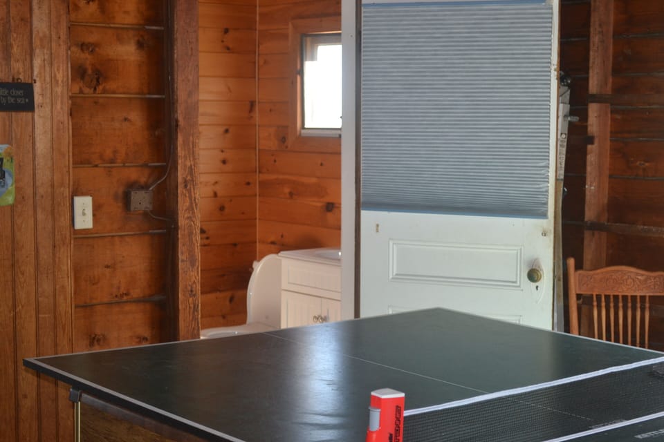 Ping pong table in the playroom, looking toward downstairs bathroom