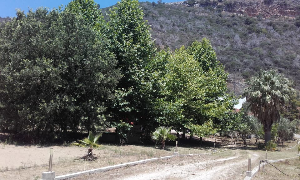 View from the main entrance