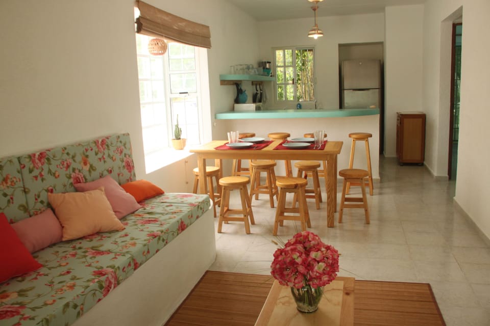 living-room and kitchen, with AC and ceiling fans