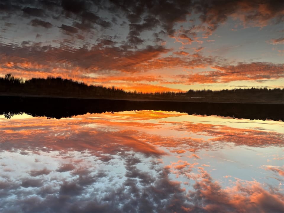Did you notice? This picture is upside down. Is the water calm enough? :)