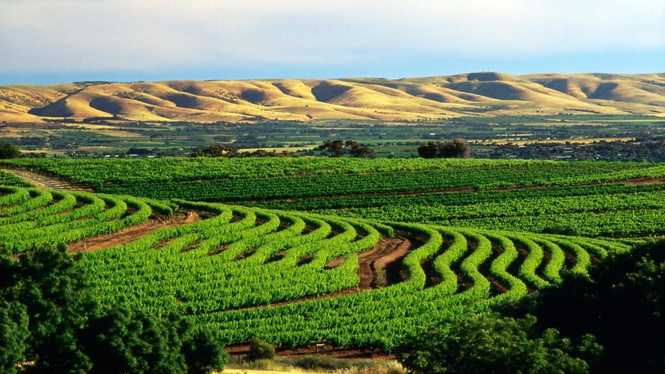 15 minutes to the McLaren Value wine region