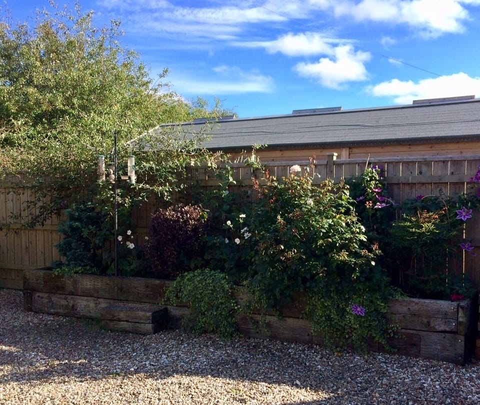 There are bird feeders in the planter that attract a whole host of garden birds