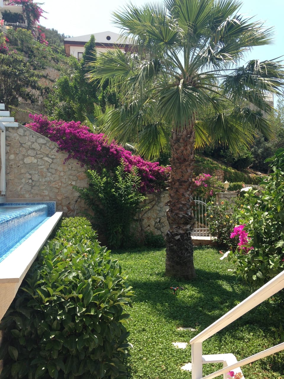 Lower level private  garden