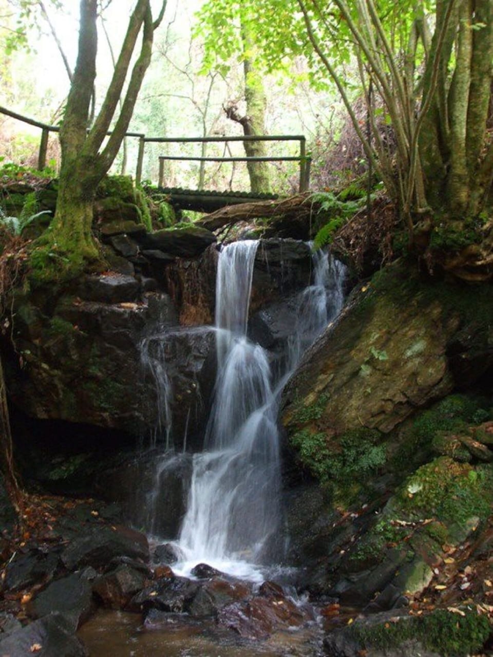 Cascata da Cabreia,  Silva Escura.
Fica a cerca de 1,5 Km da Quinta da Costeira