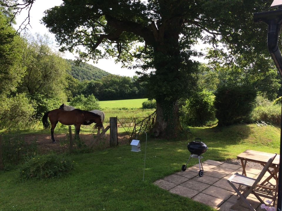 Relaxing with our neighbours!
