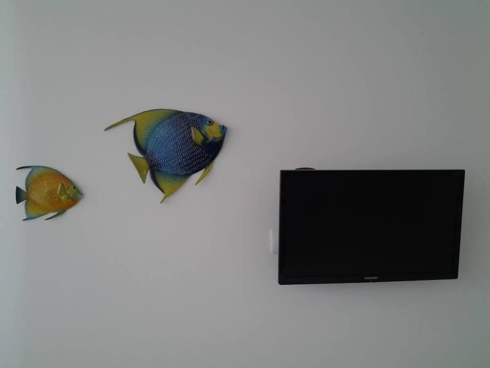 Television