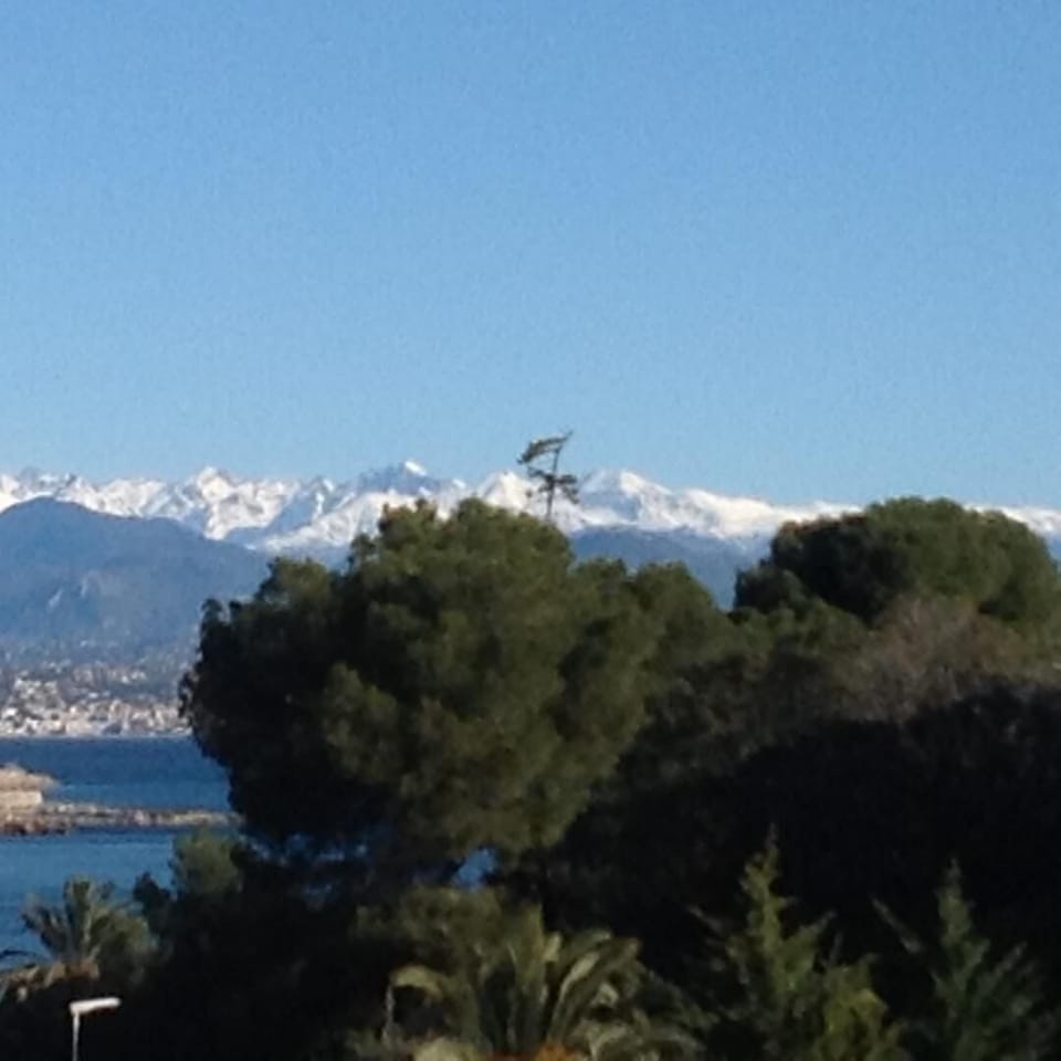 View from the balcony