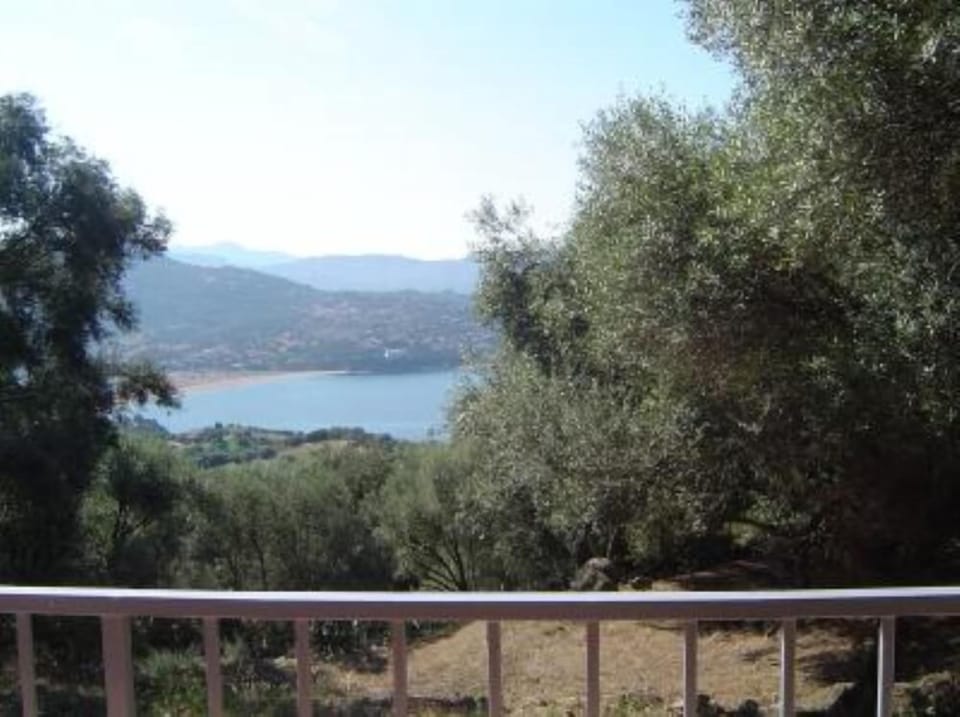 Terrace / Balcony