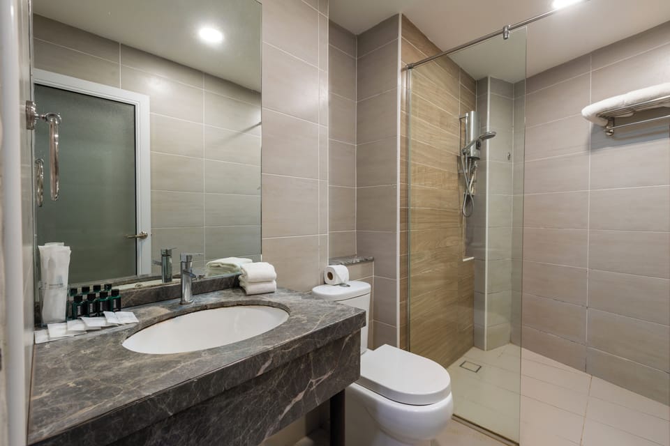 Deluxe King Room | Bathroom | Shower, free toiletries, bidet, towels