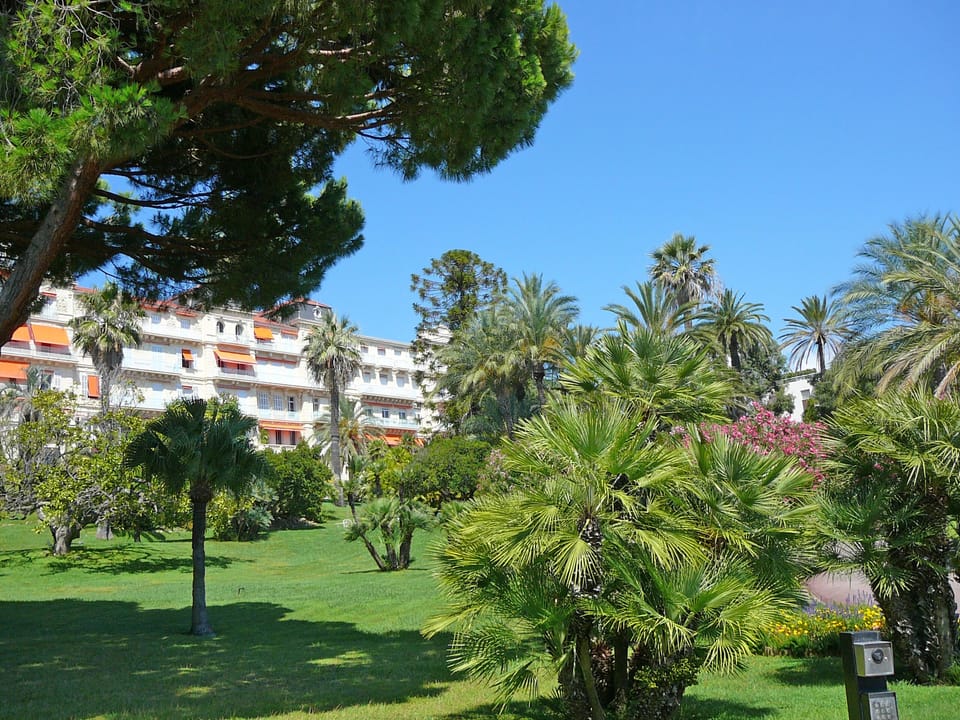 Front gardens.