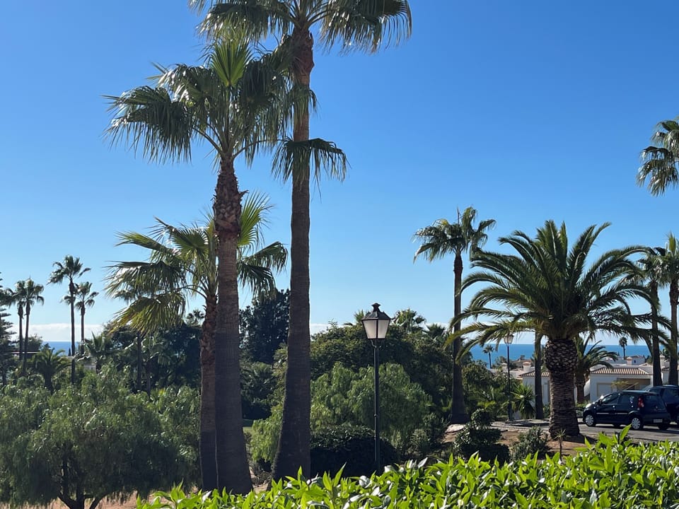View from  the terrace .