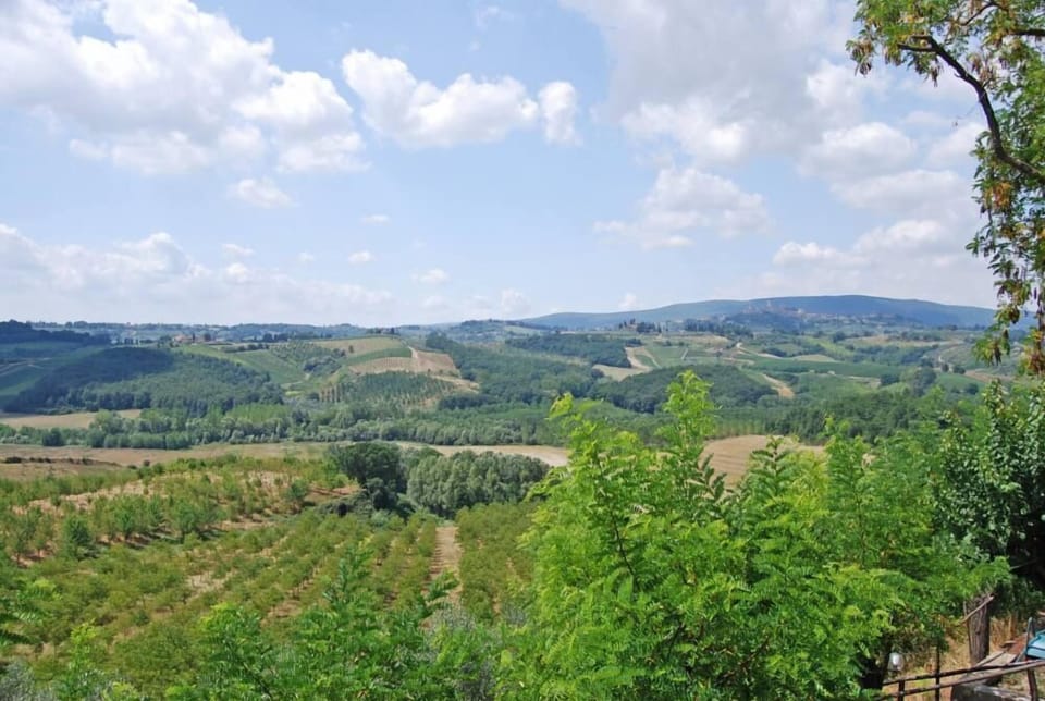 View from the terrace and from the garden