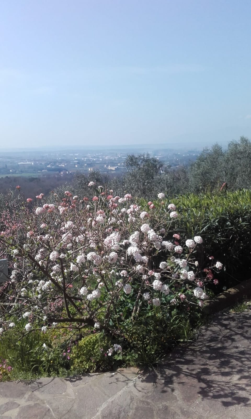Bioagriturismo Benessere LA COLLINA - CASA ROMEO - Oasis of tranquillity Farm Stay in Tuscany