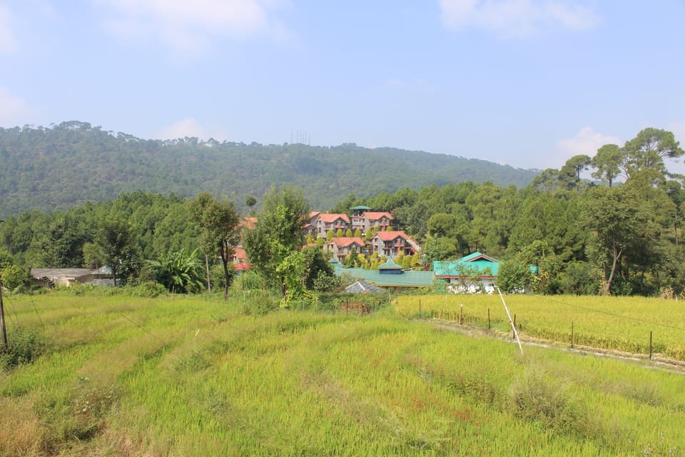 Garden view