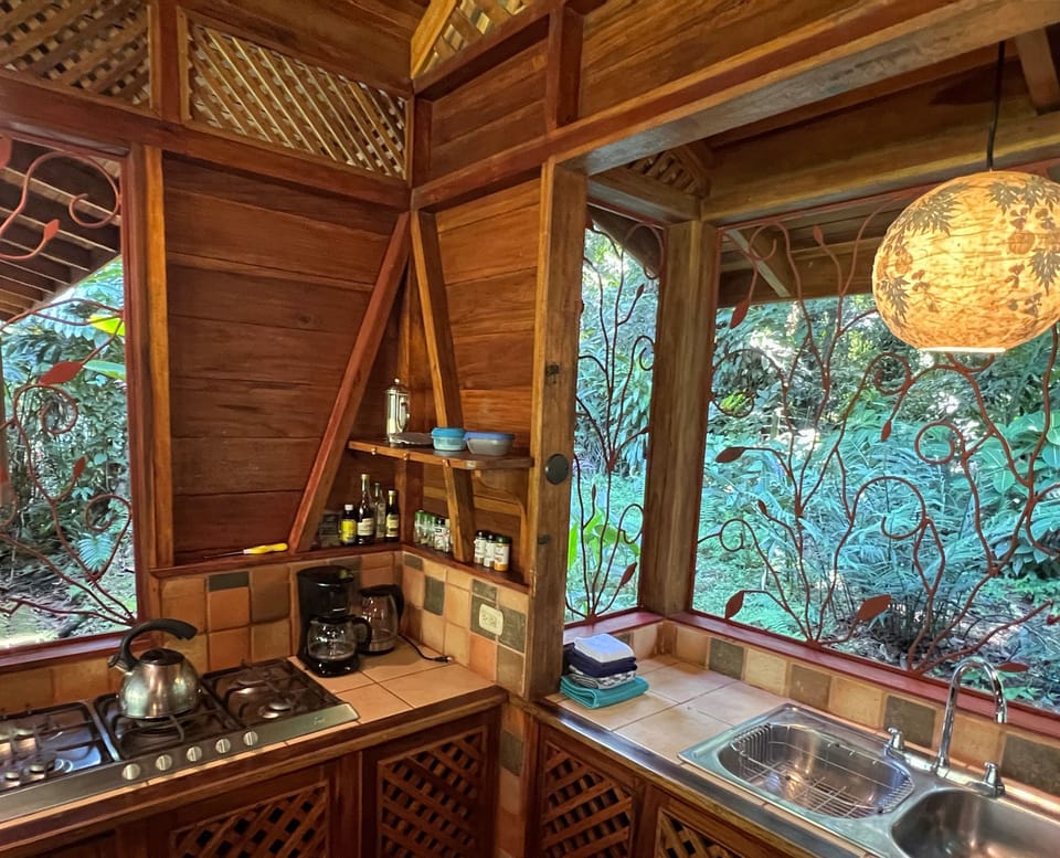 Cooking with a view