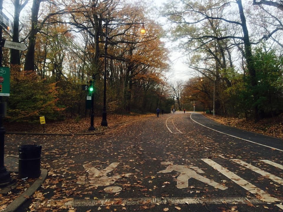 Prospect Park - Late Fall