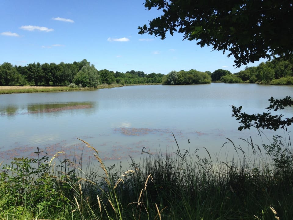 Lake