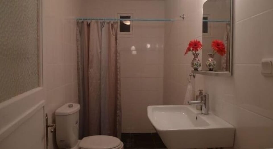 Bathroom with a shower, toilet and sink