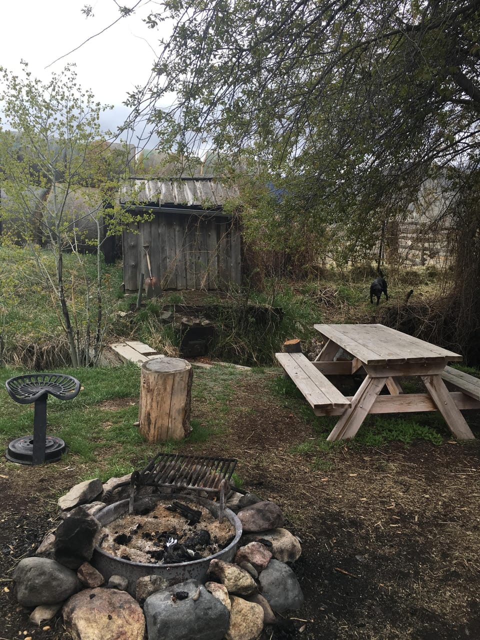 Camp fire site next to the creek. Propane grill & all cookware provided. 
