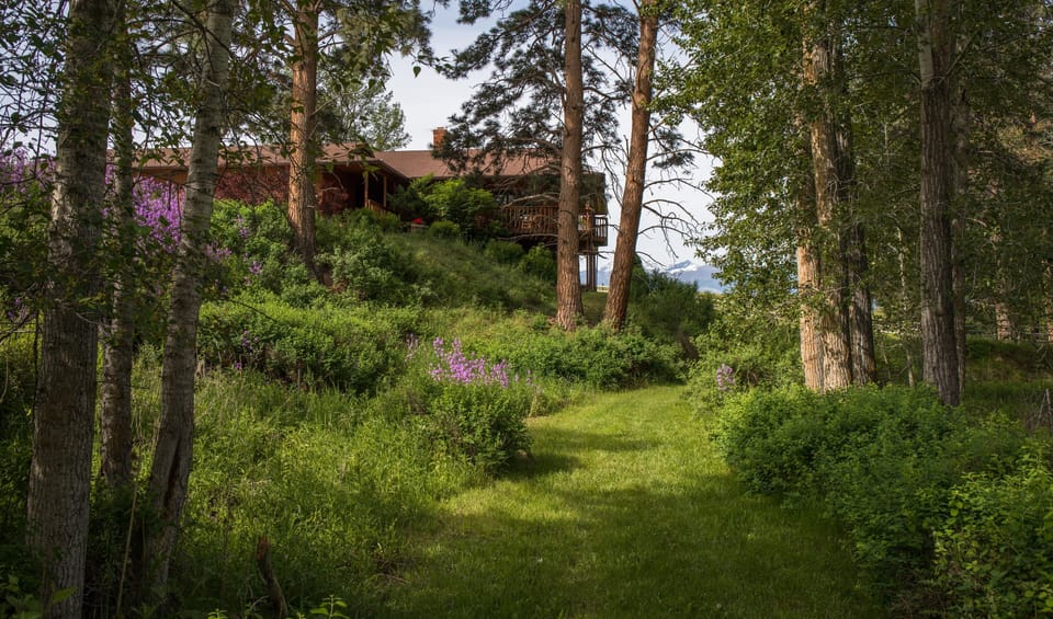 View of the Sheep Camp from the creek bottom.