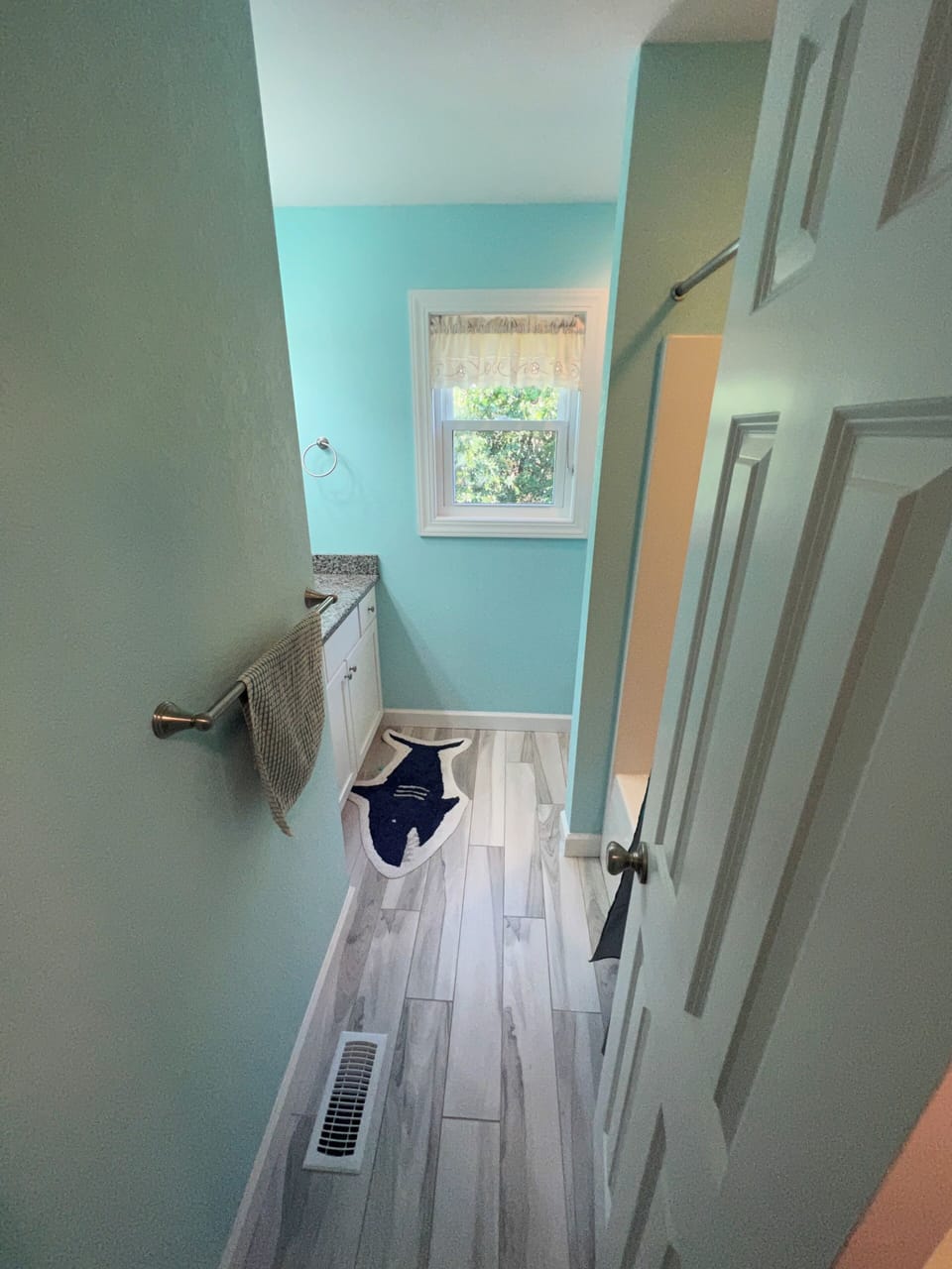 Bathroom on lower level