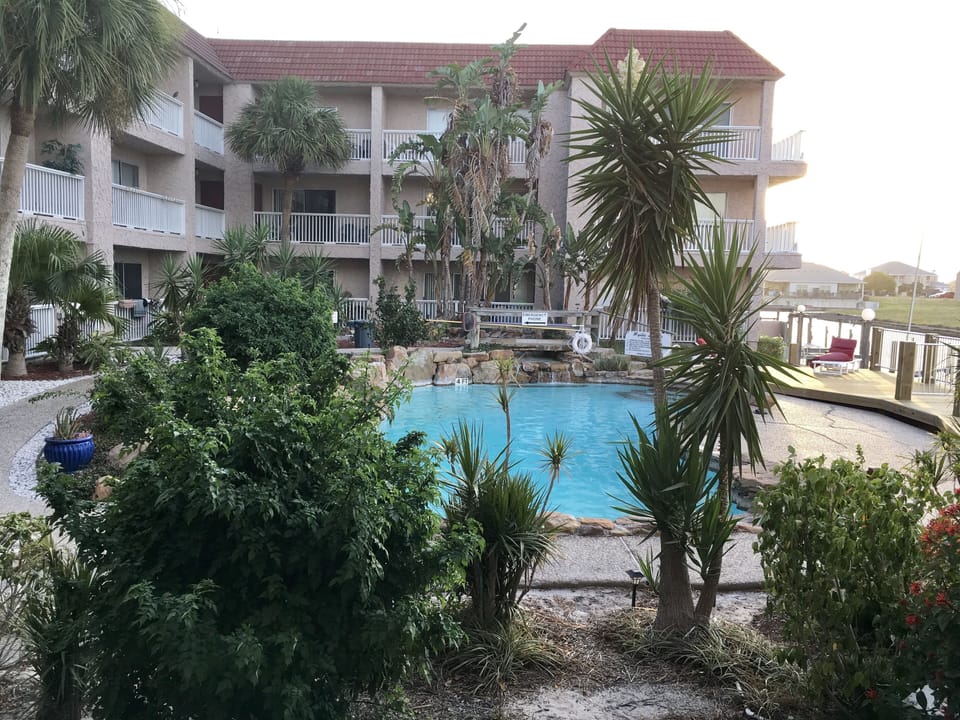 View From Patio