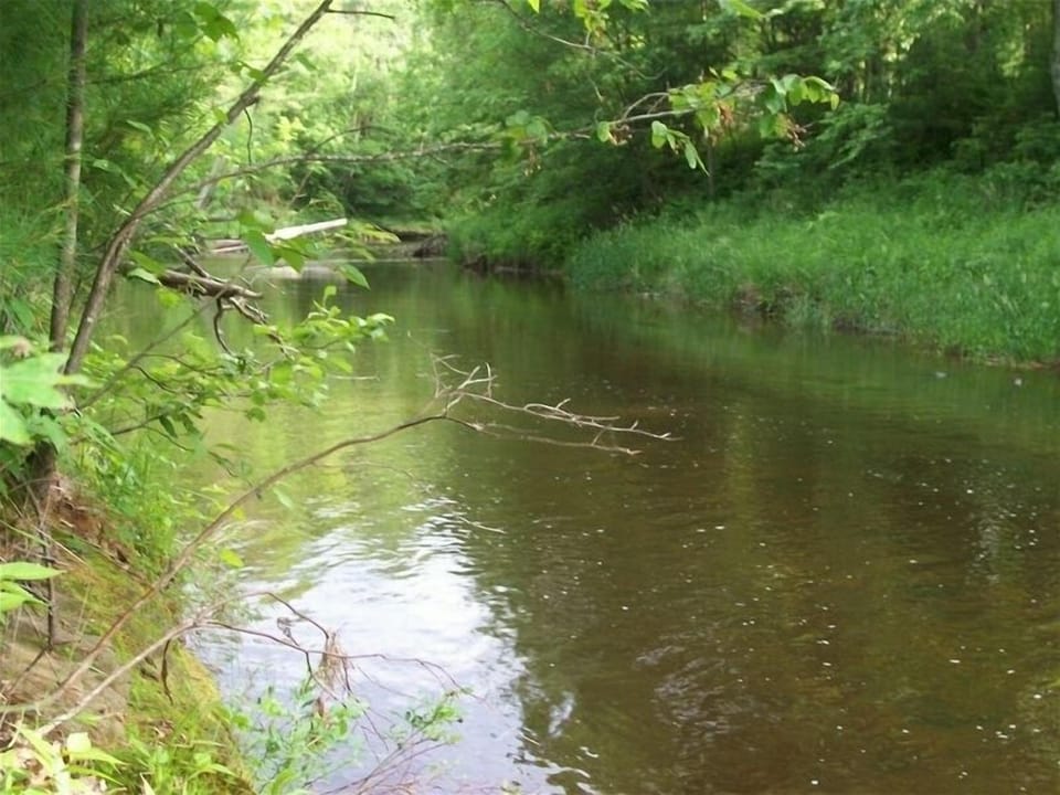 Hall's Creek run's through the property- rated  as a #2 trout stream
