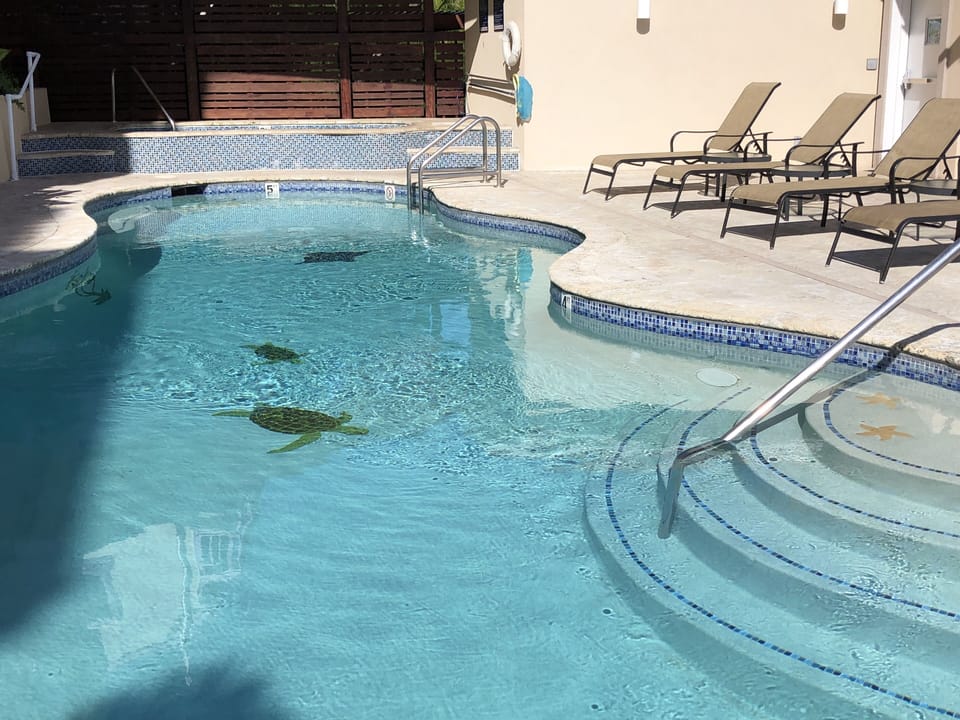Heated salt water pool;  steps work well for children