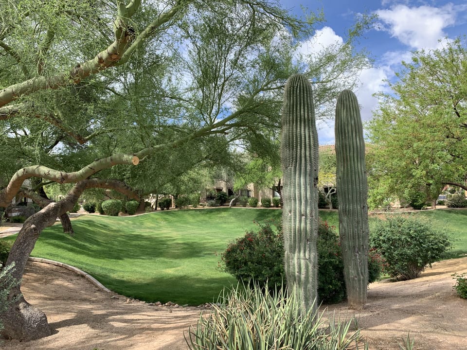 Walkway in the complex
