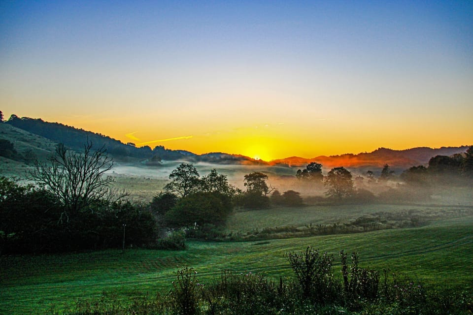 Good morning from Laurel Fork