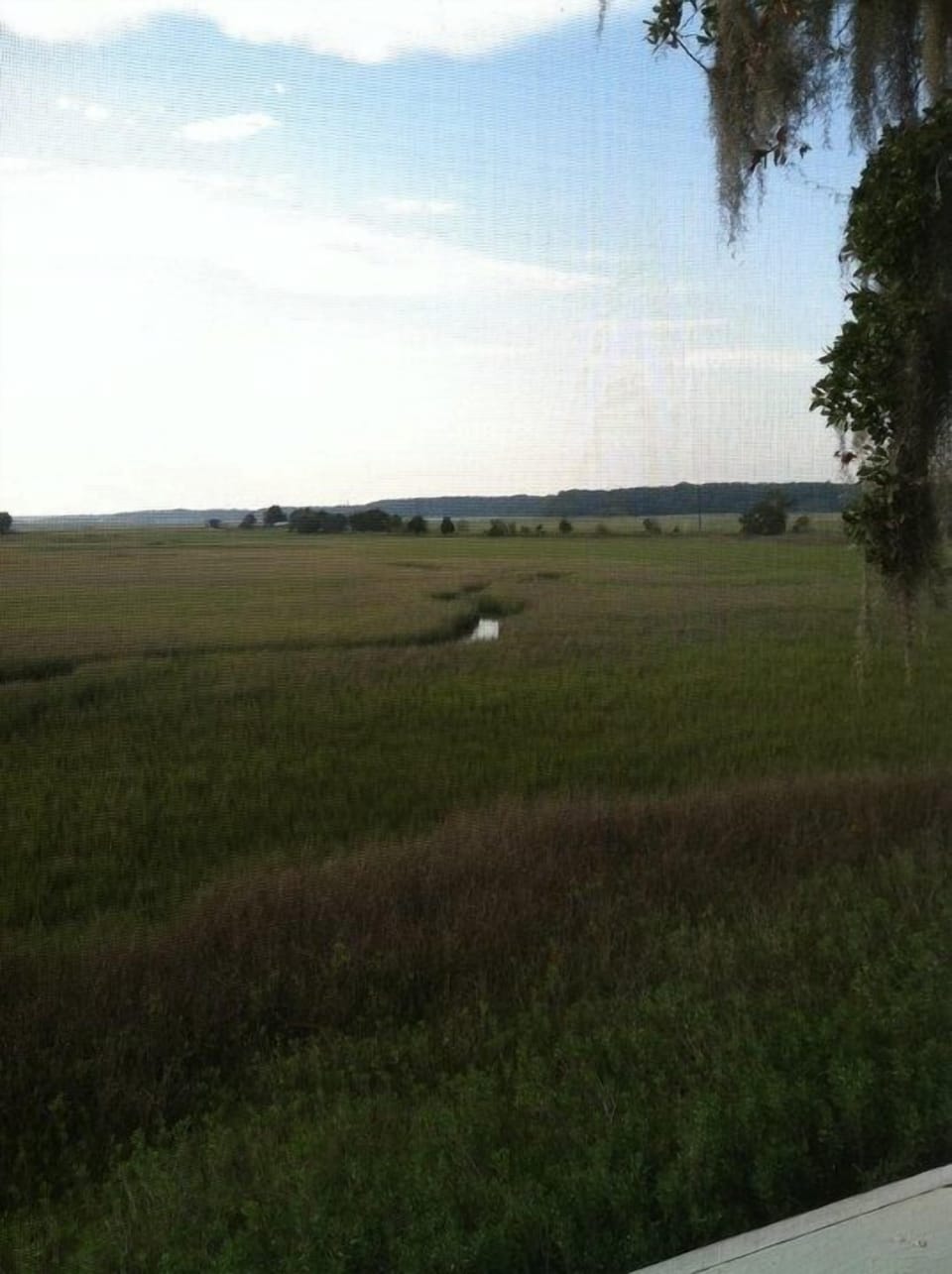 Marsh view from porch