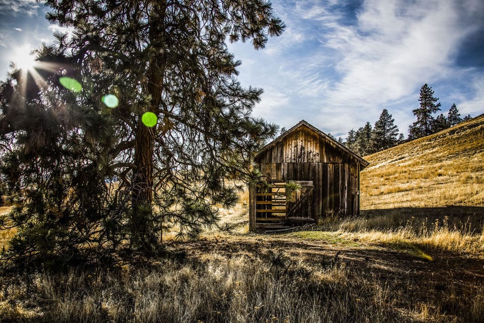 Wild Horse Island/Flathead Lake state park  50 miles from the house