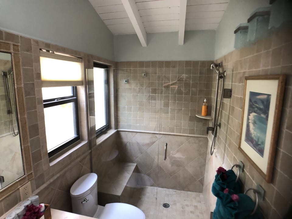 Bathroom view into the shower