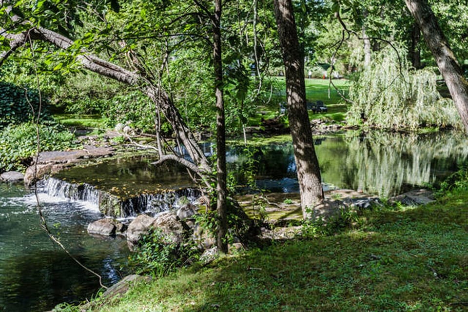 Pond and river 