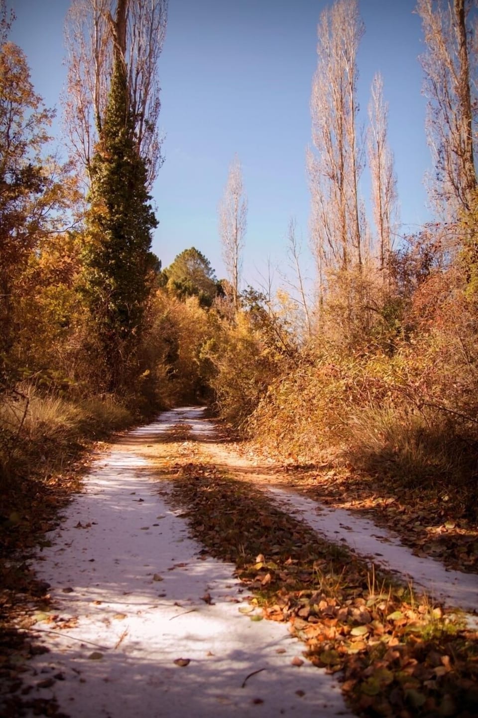 Ecotours